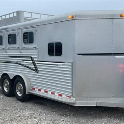 1999 Elite Custom 3 Horse Trailer Online | R-H Container Service