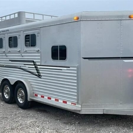 1999 Elite Custom 3 Horse Trailer Online | R-H Container Service
